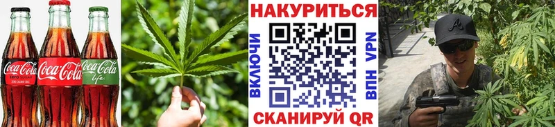 Cannafood конопля  Купить где  Ардон 