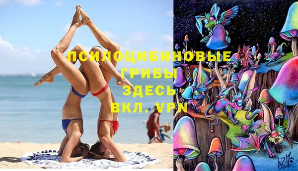 каннабис Корсаков